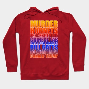 The Murder Hornets Conspiracy Hoodie